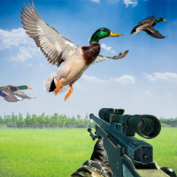 Duck Hunter