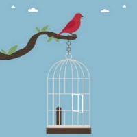 Free Bird